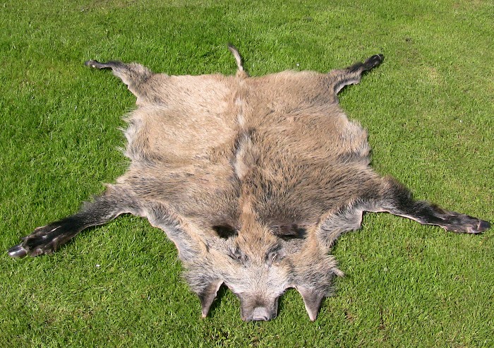 Wildschweinfell Wildschweinfell