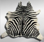 Zebrafell & Co